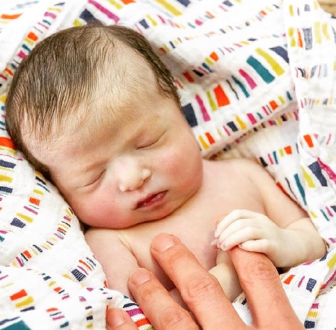 2017 24 News, Sports, Jobs Lawrence JournalWorld news